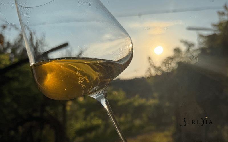 Astris e Bianco Veronese: l&rsquo;estate secondo Siridia
